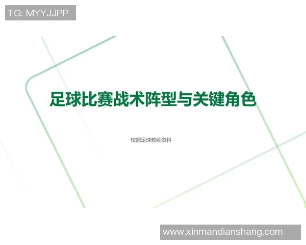 基于足球星型平衡理论的战术优化与球队整体协同效应研究